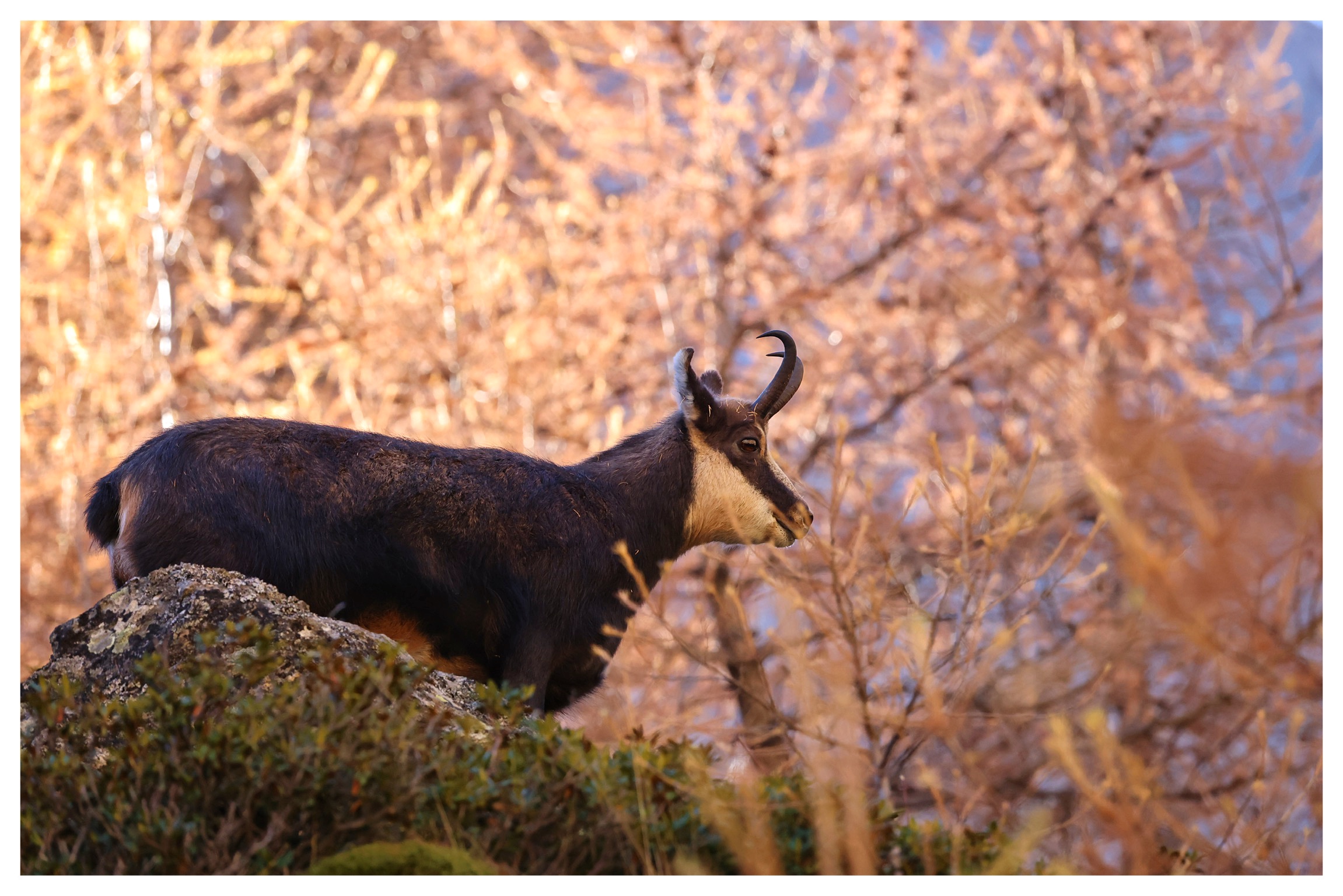 In armonia con la natura