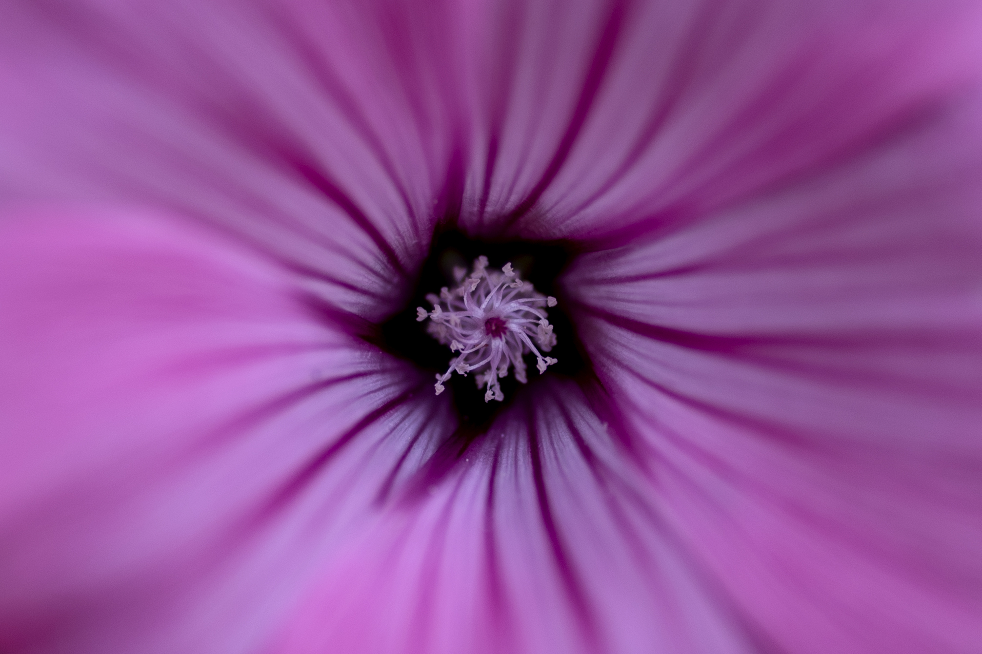 Untitled Photo