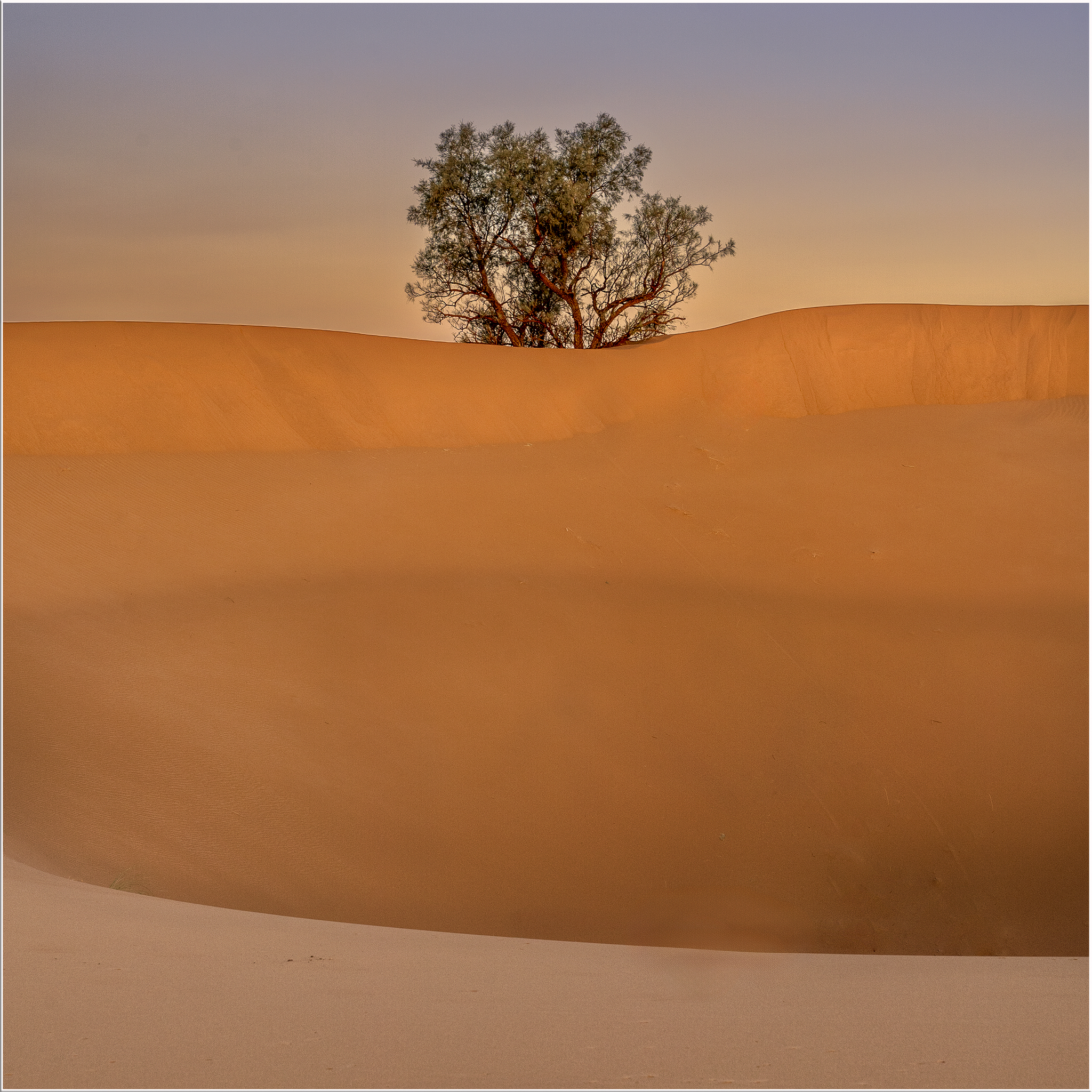 Sahara Desert - Morocco.