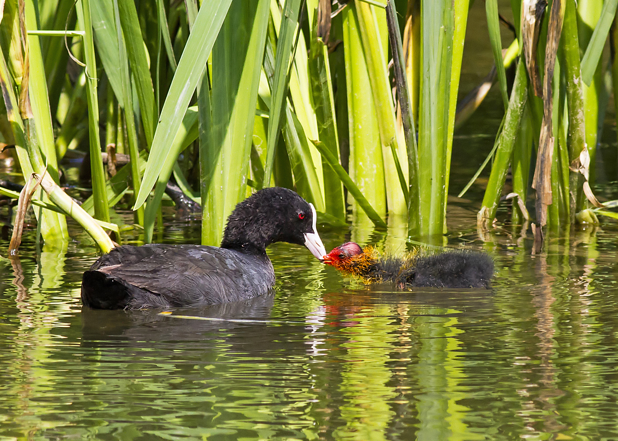 It is not nice like that ...