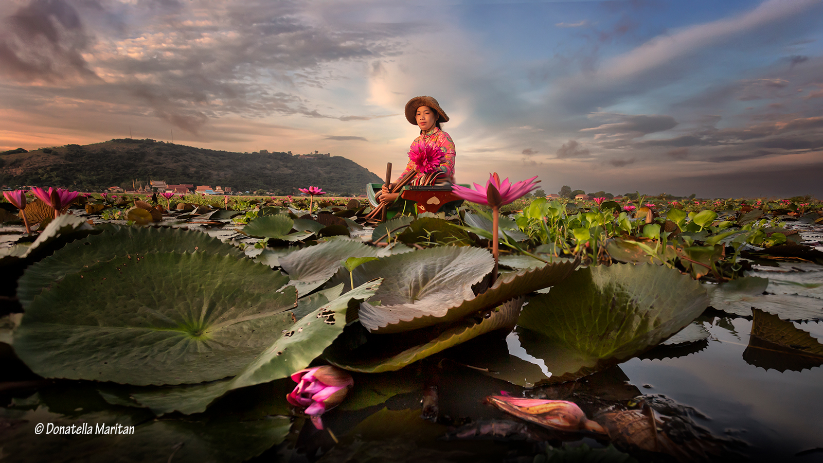 La raccolta dei fiori