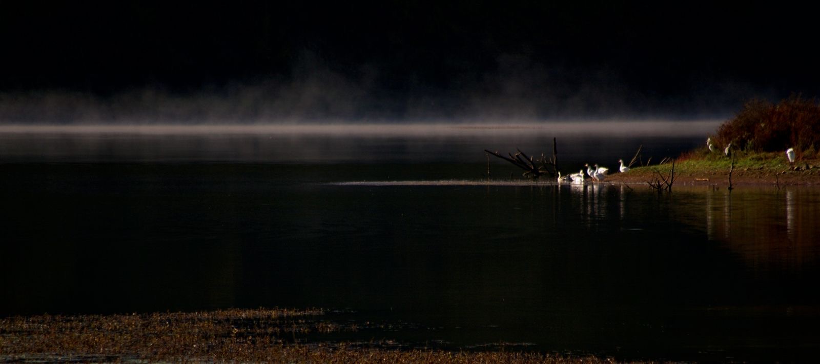 Autunno al lago