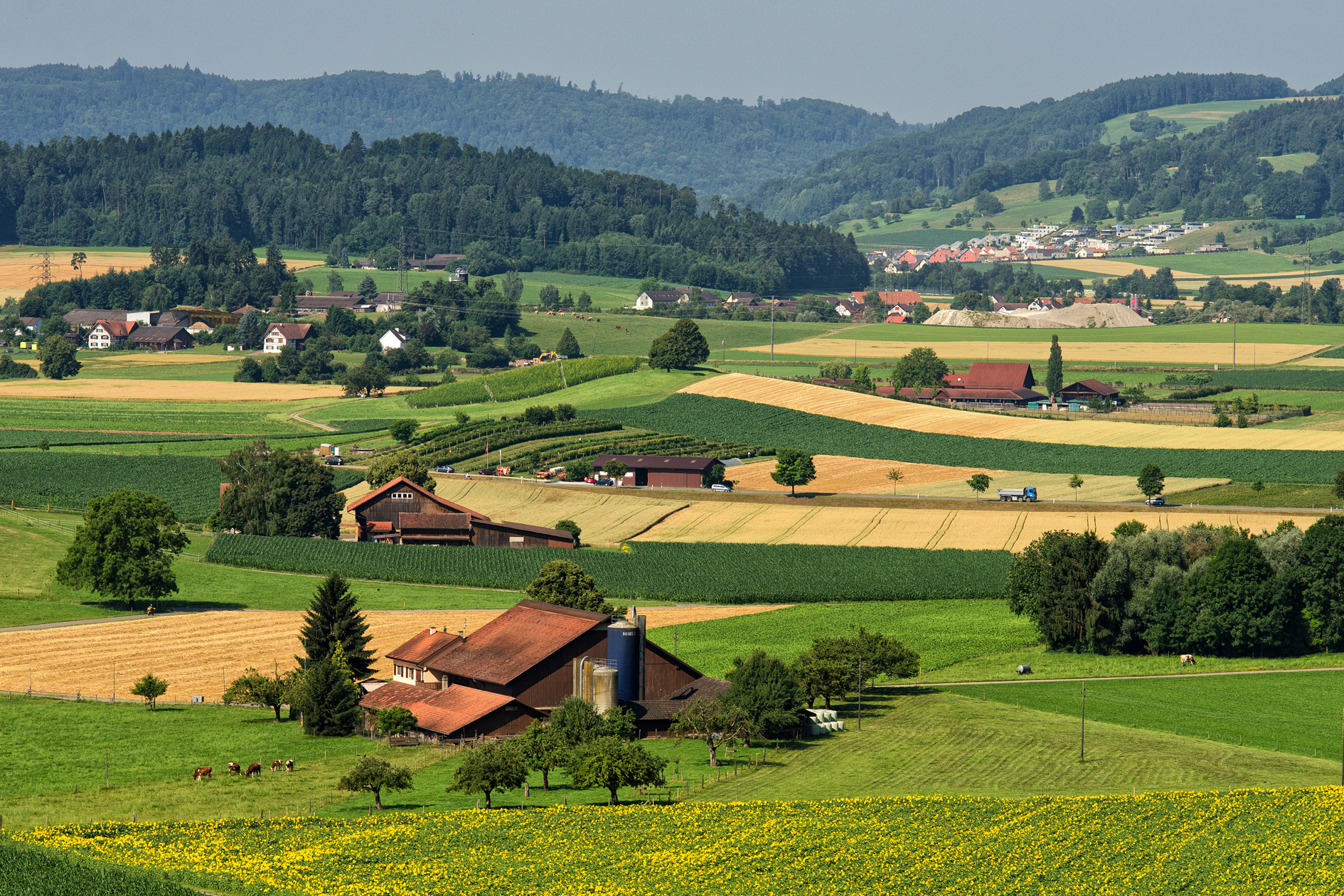 Schweiz
