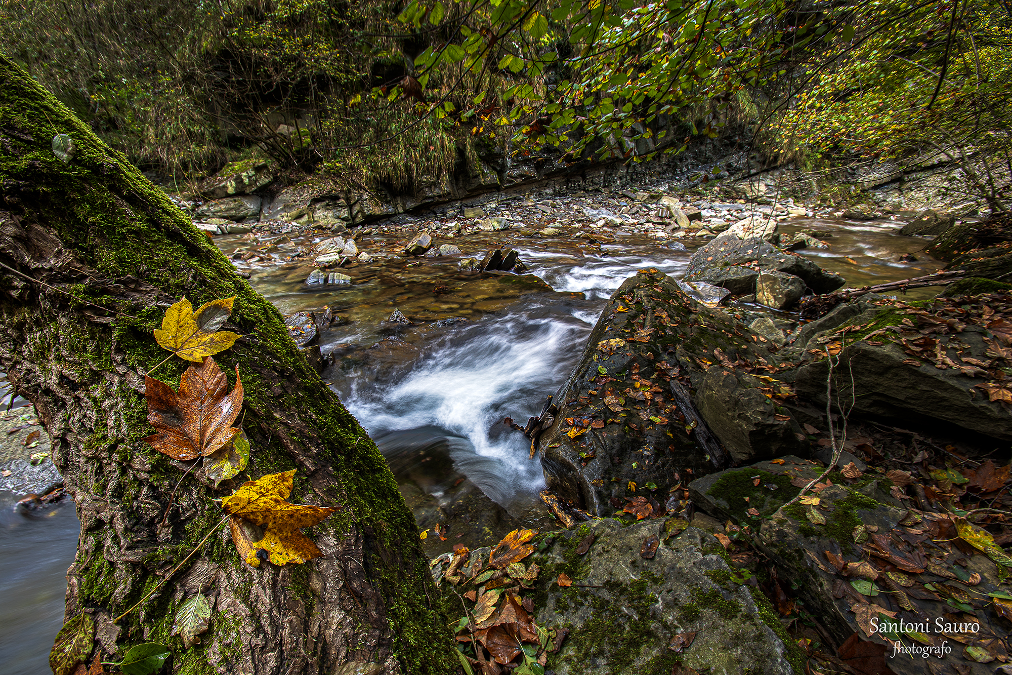 Autumn