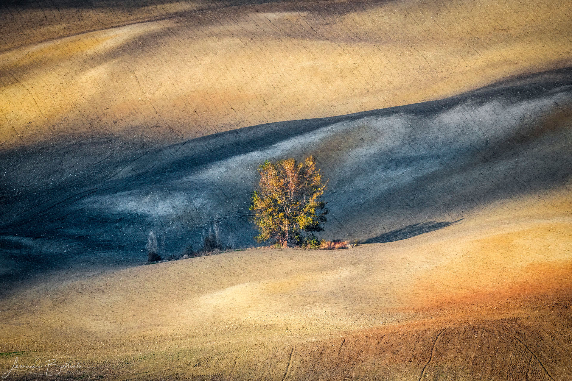 Lights and shadows on Earth