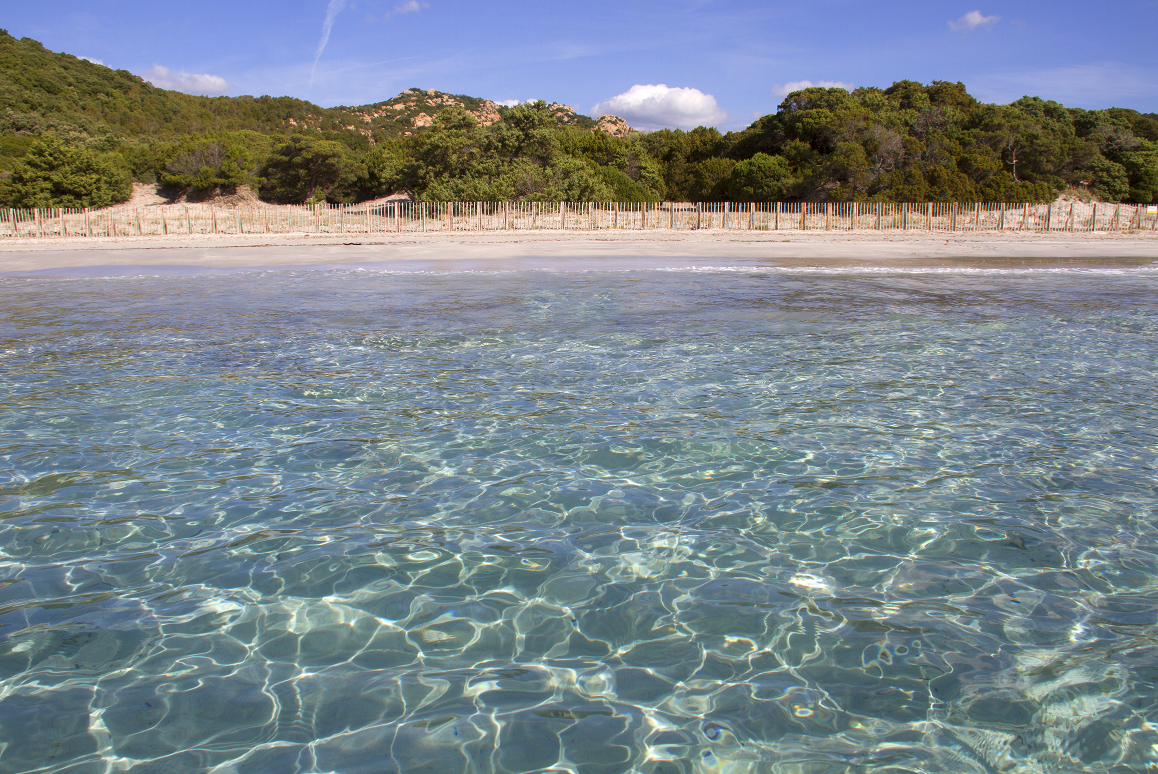 Spiaggia di Roccapina - Corsica