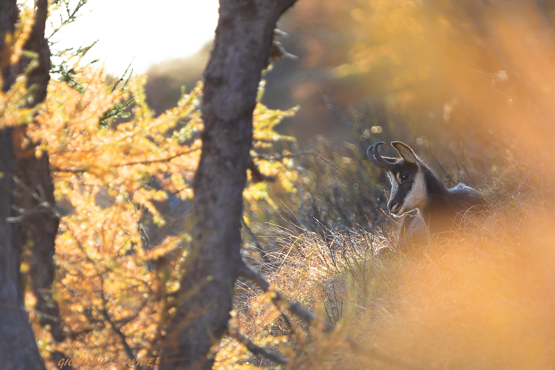 ... Window of light...