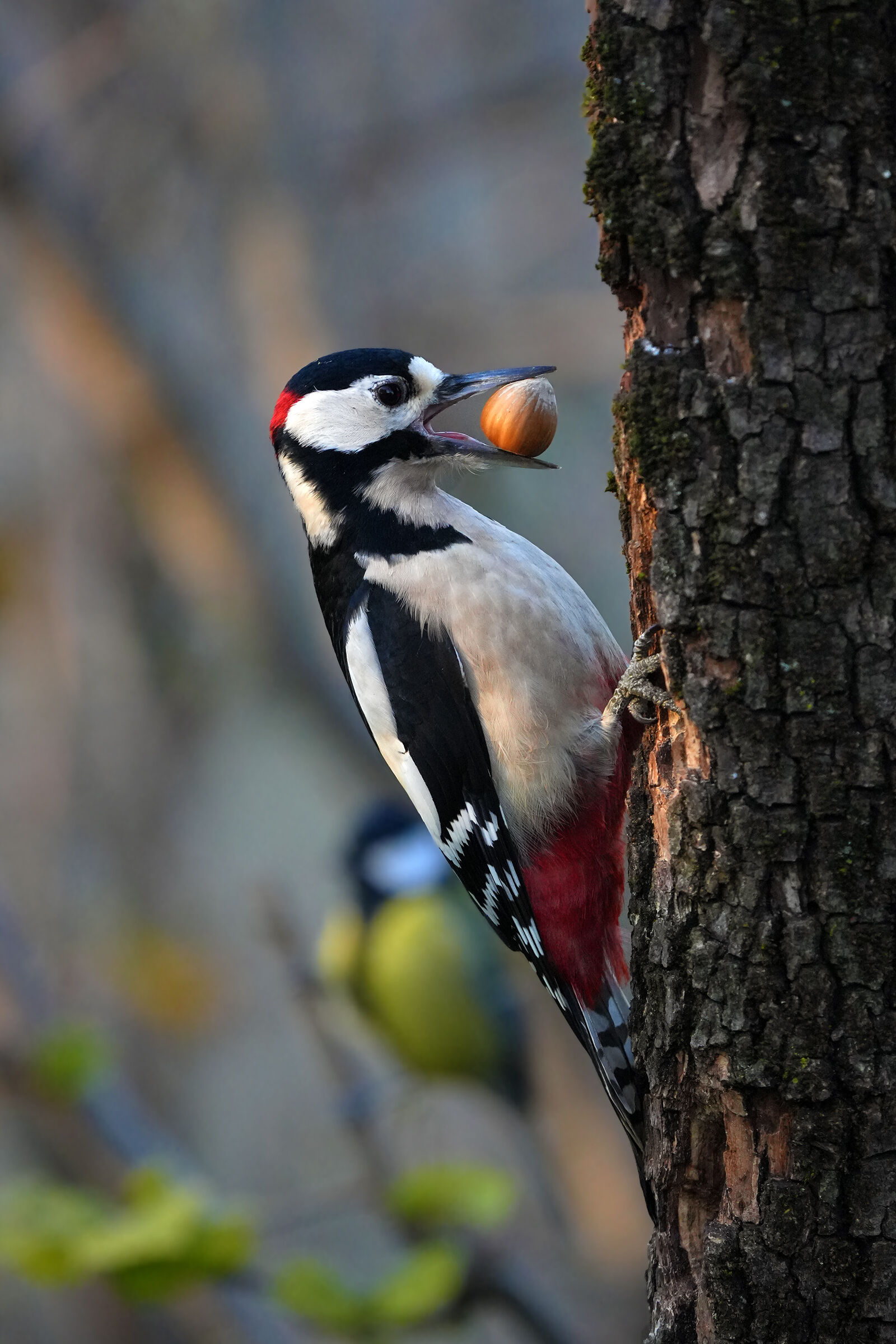 greedy