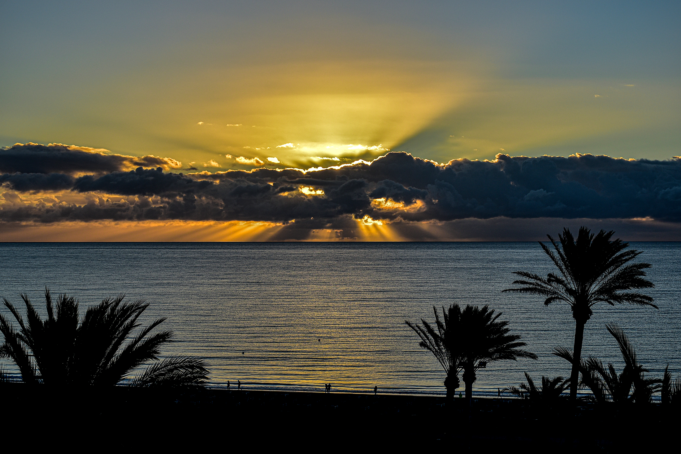 "Golden awakening: the enchanted dawn of Fuerteventura"
