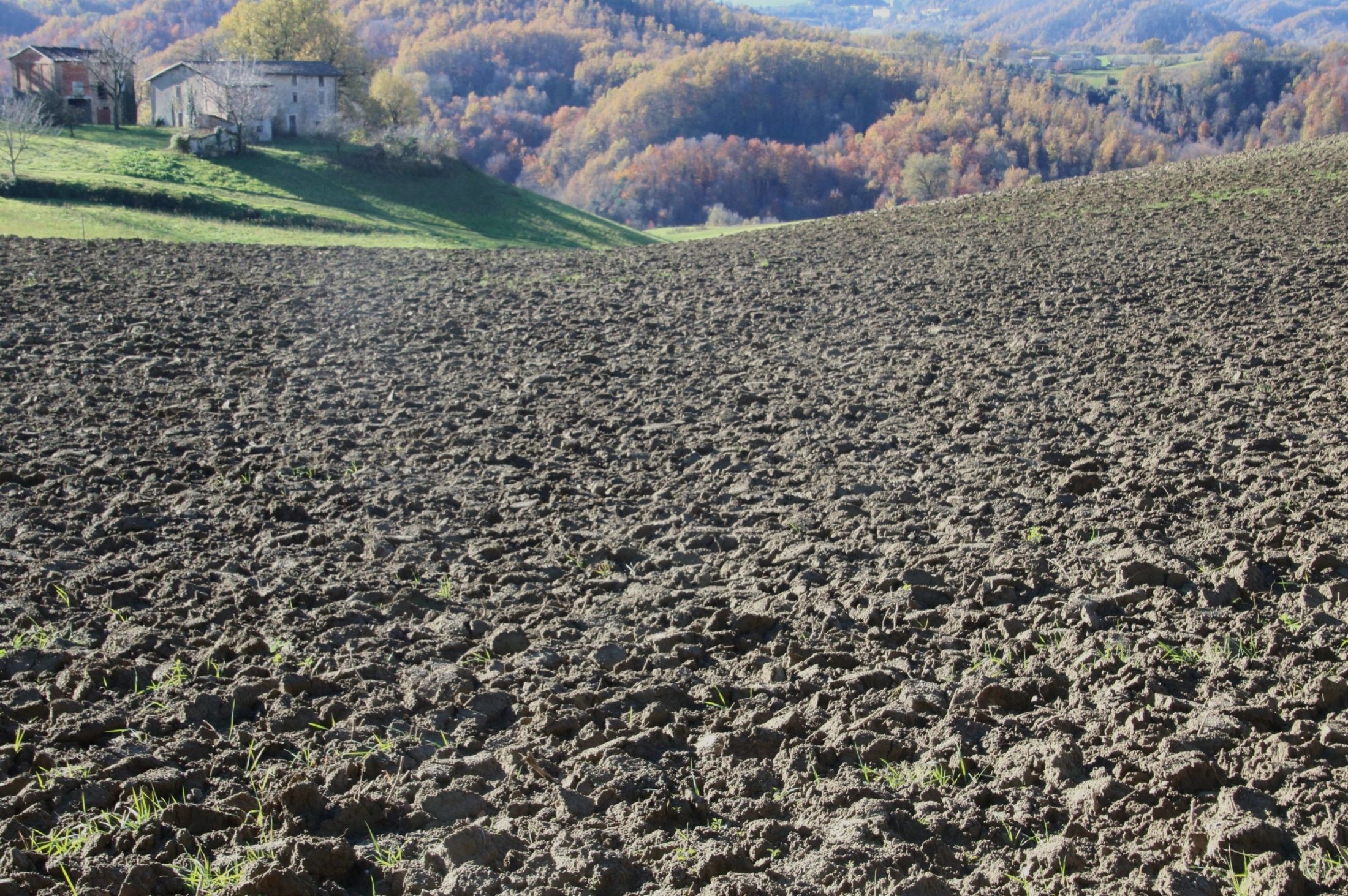 Il campo arato