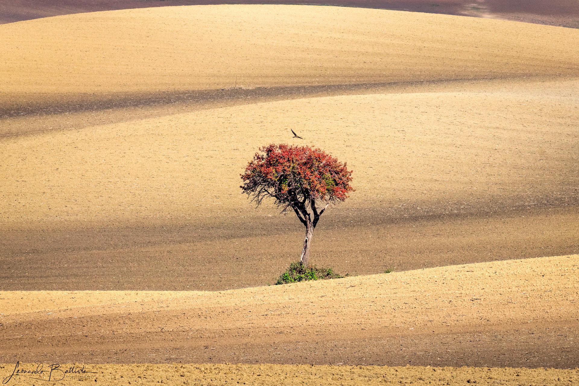 Glimpse of the Daunian Mountains