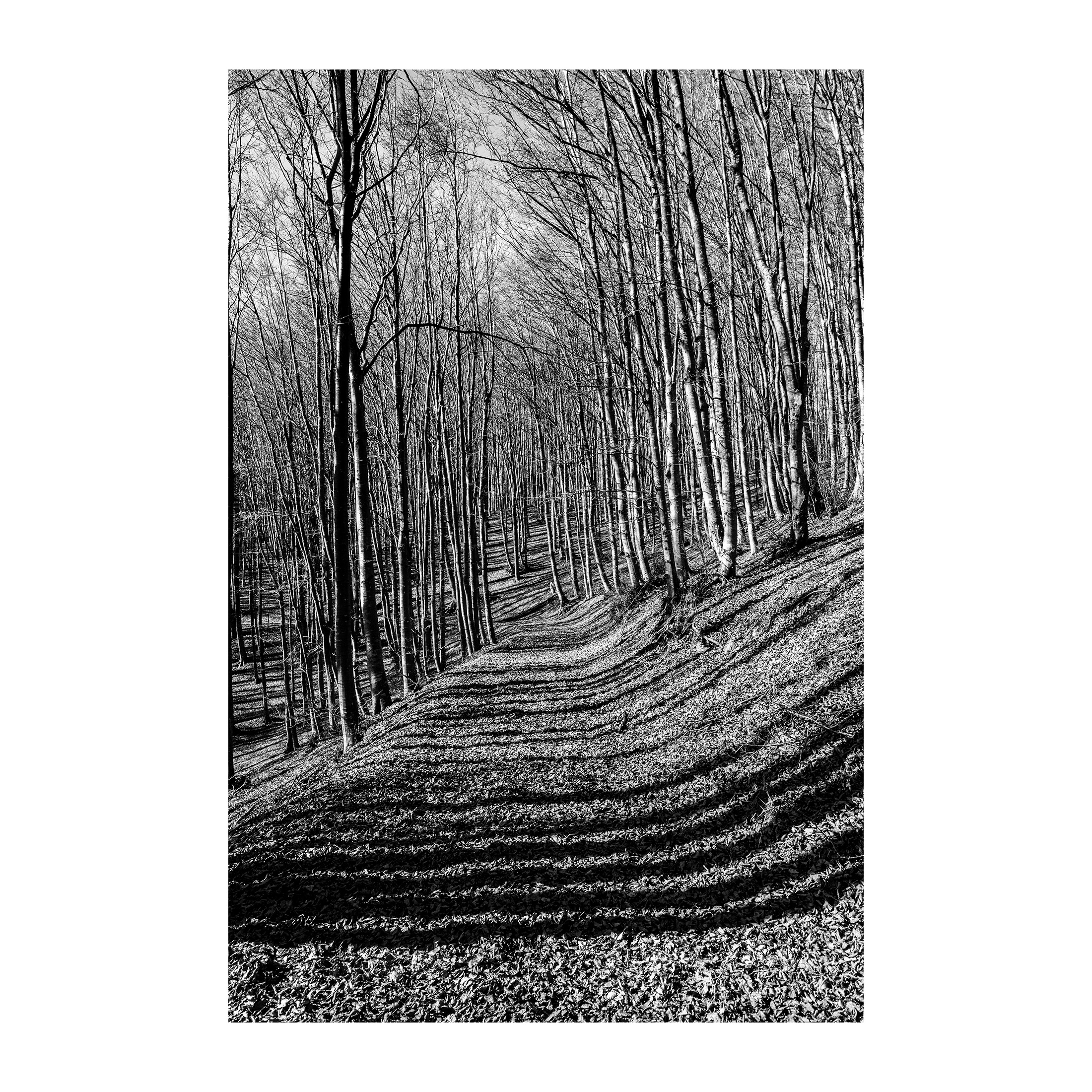 Crossword Definitions