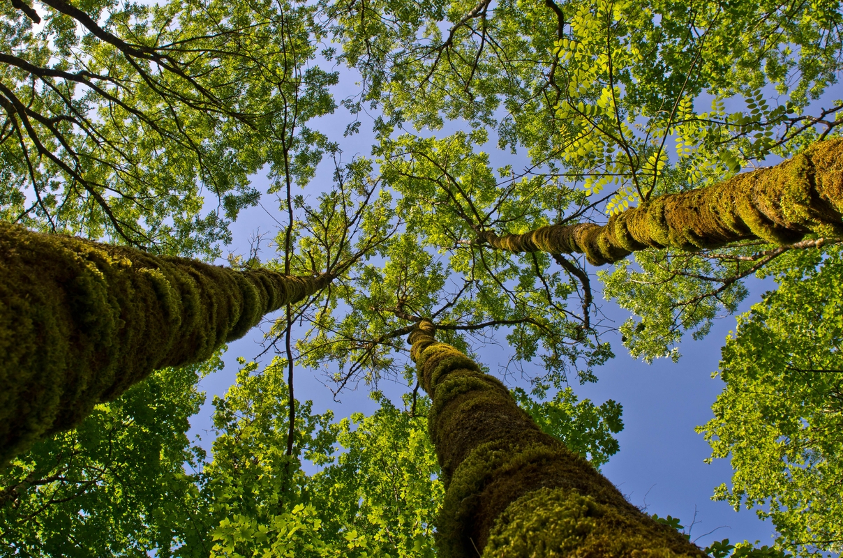 Francia - Franche-Comté