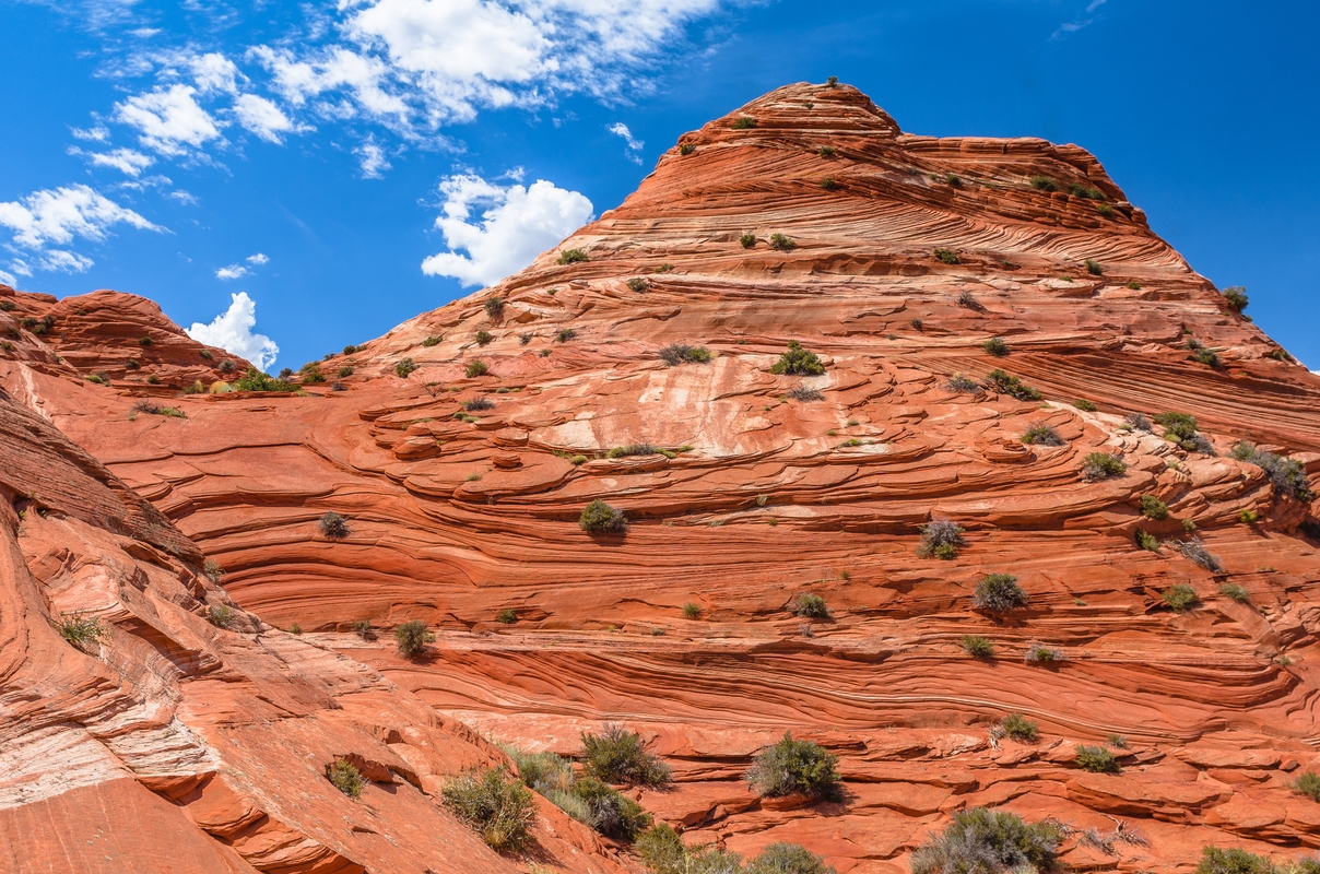USA - Paria Canyon-Vermilion Cliffs - Utah