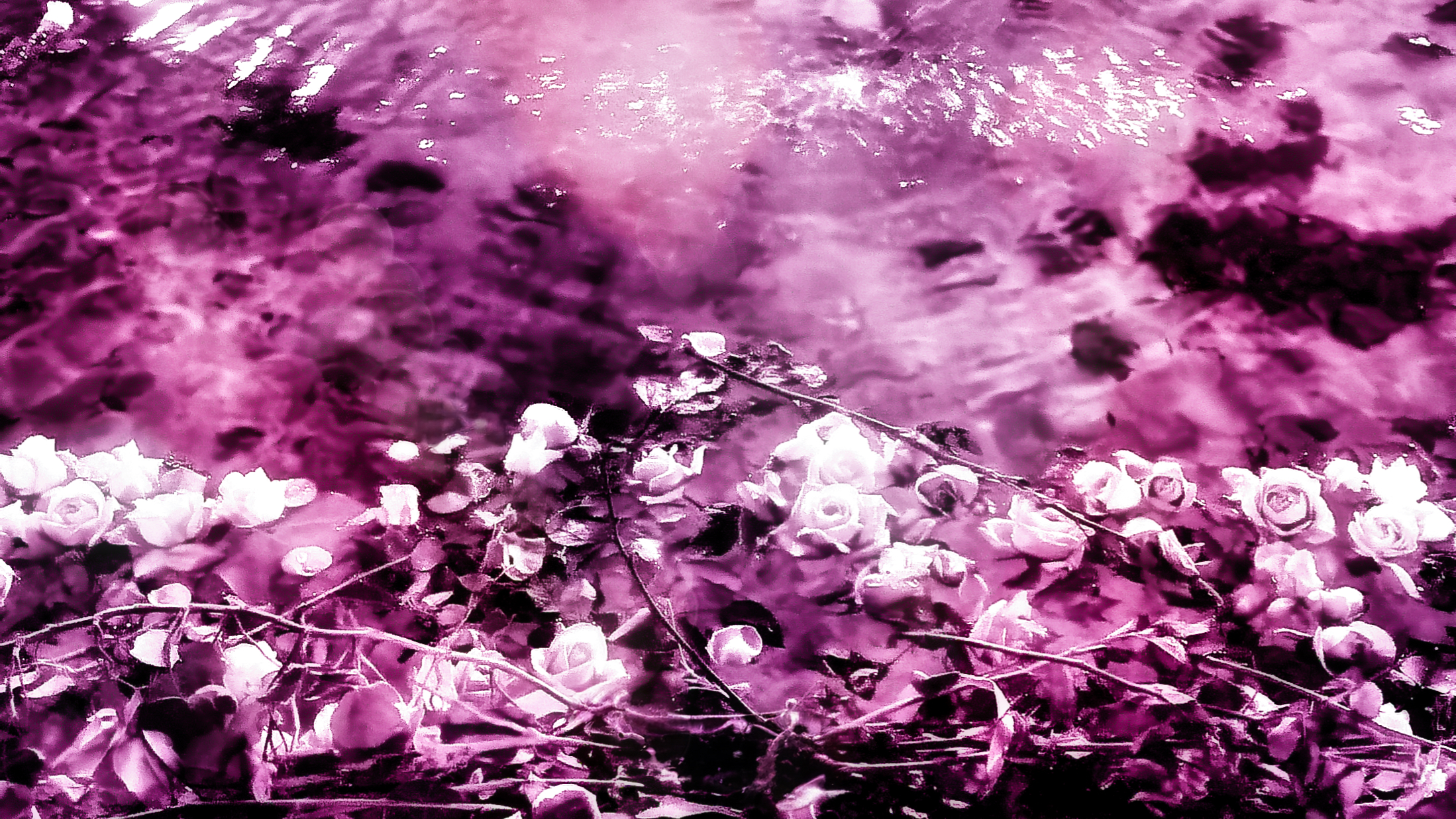 Suspended between the water and the sky