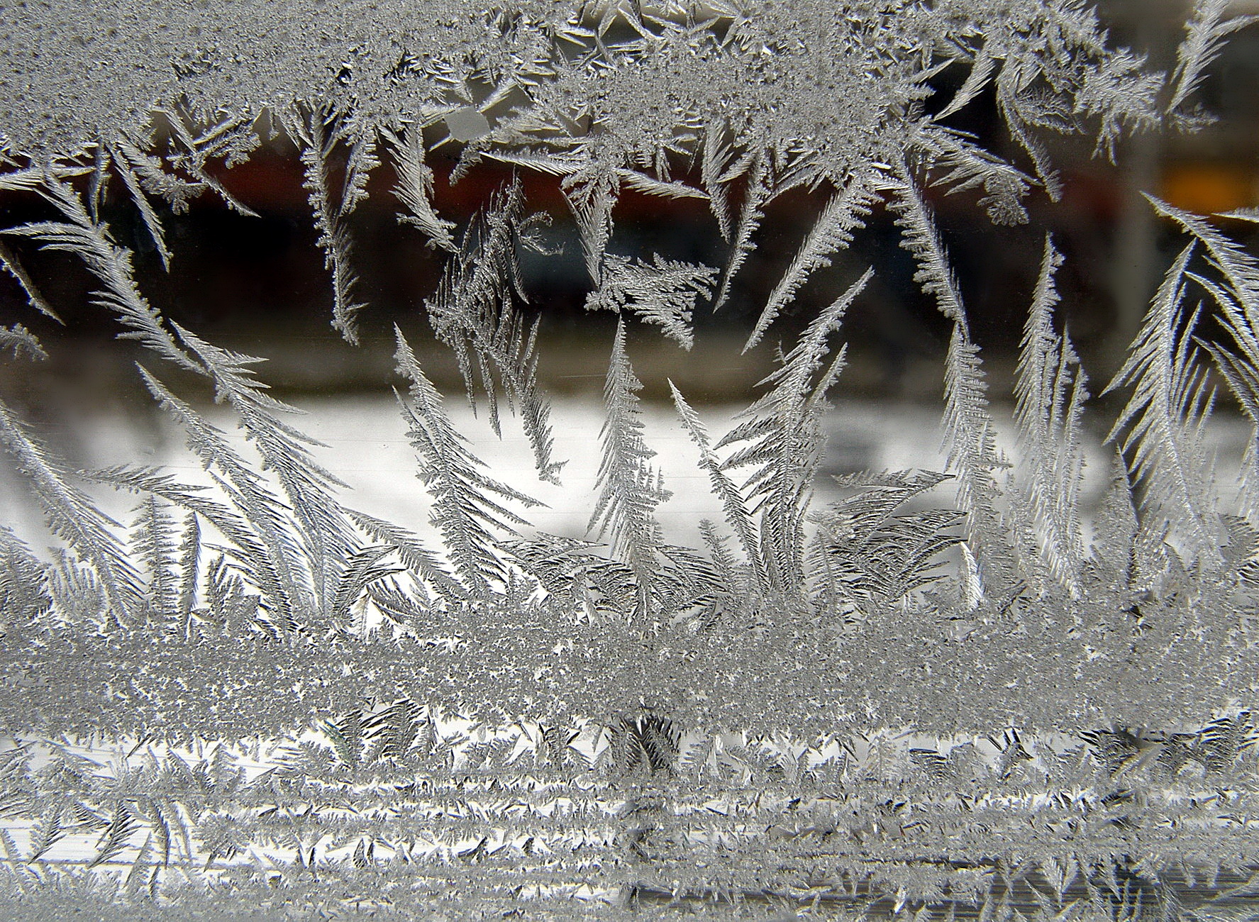 the frost draws ornaments on the window