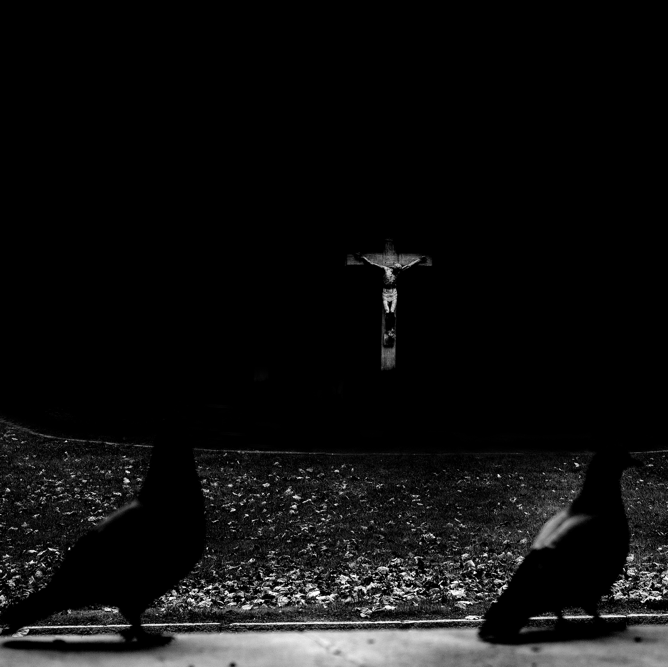 Untitled Photo
