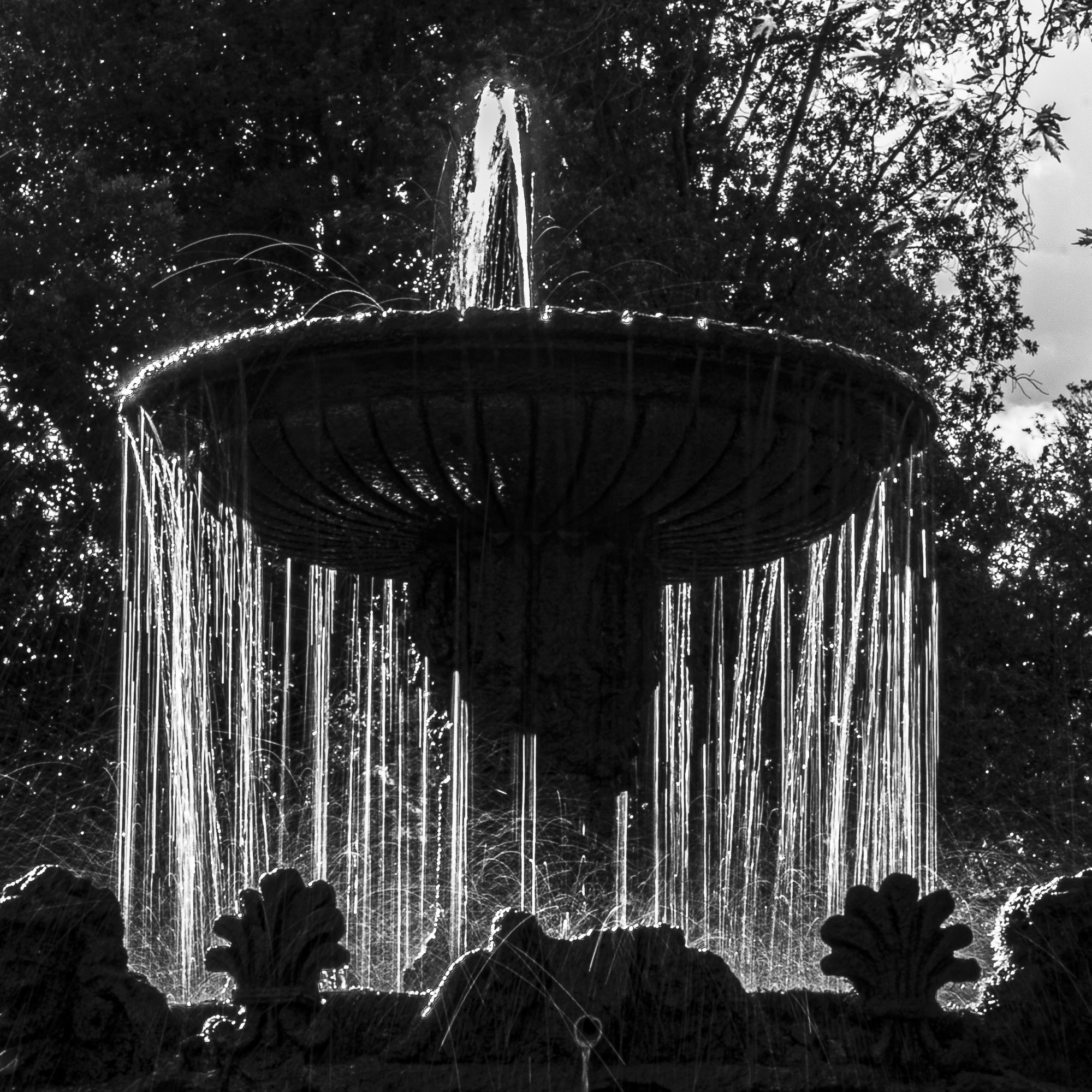 Experiments (1/6" freehand). Villa Lante, Bagnaia VT