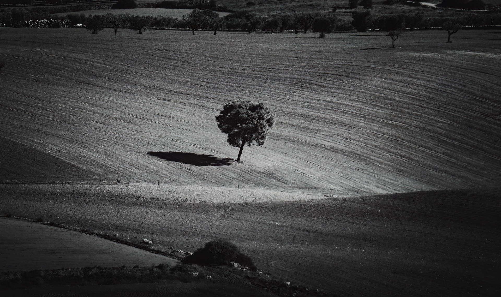 Untitled Photo
