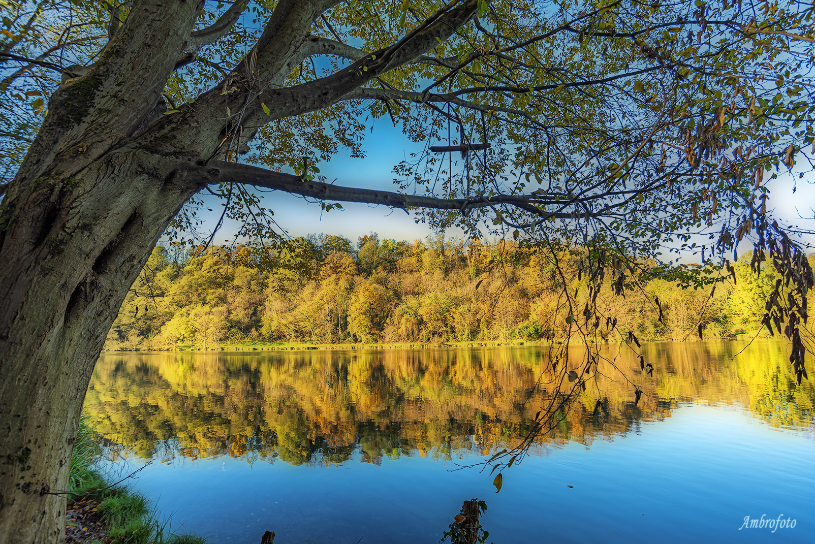 Adda d'autunno