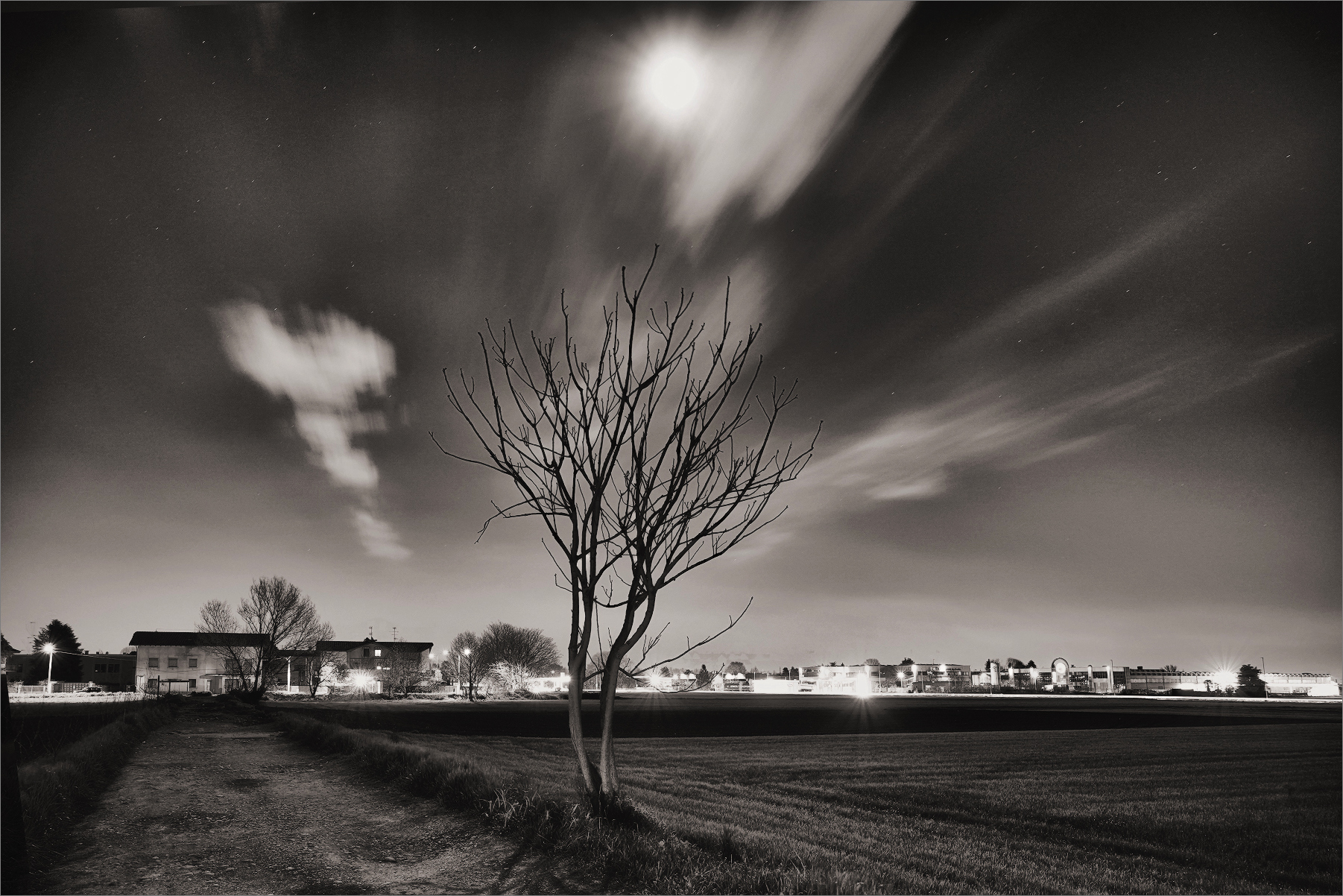 nei campi tra Saronno e Origgio