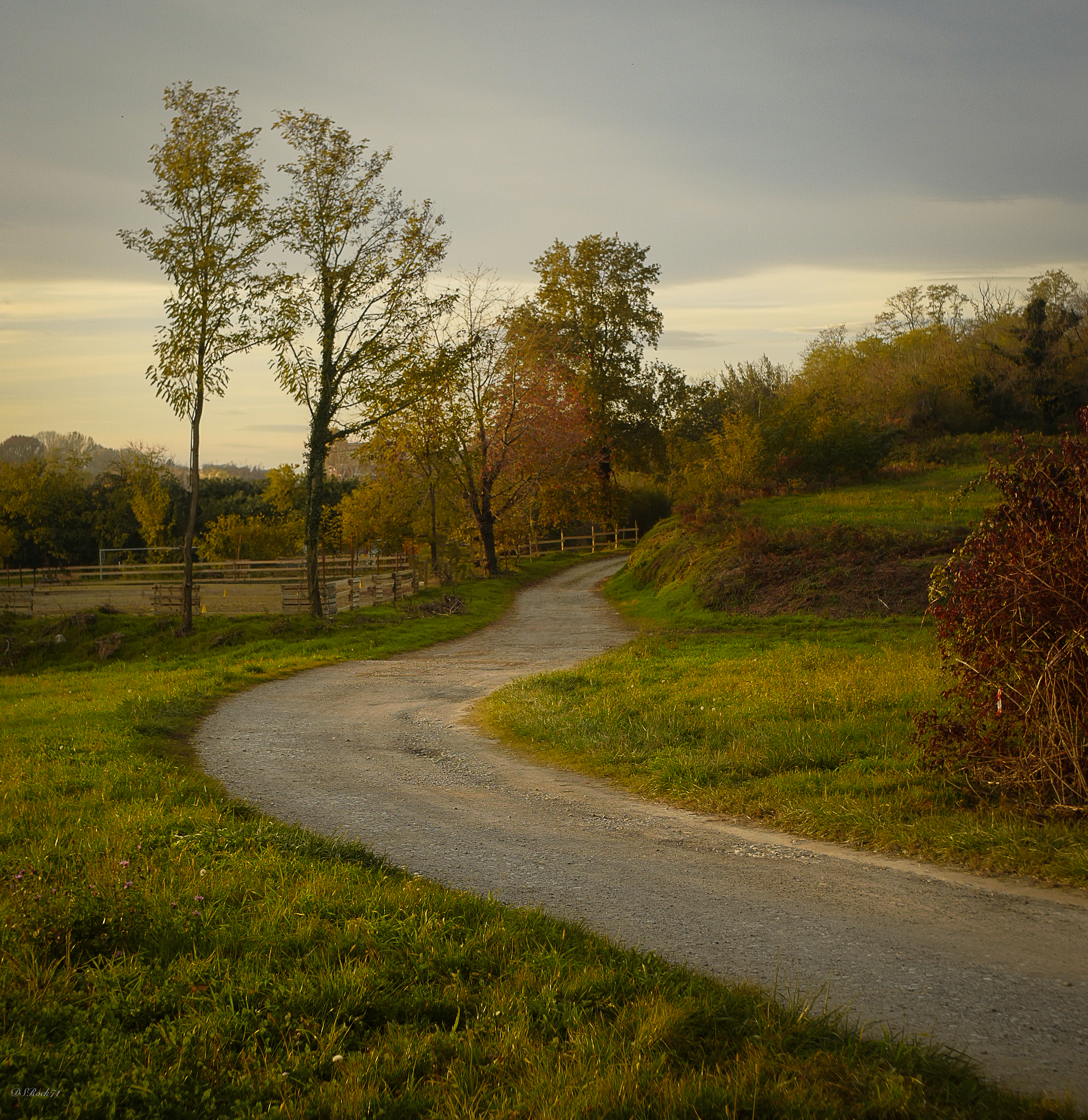 Visioni autunnali, novembre del '24
