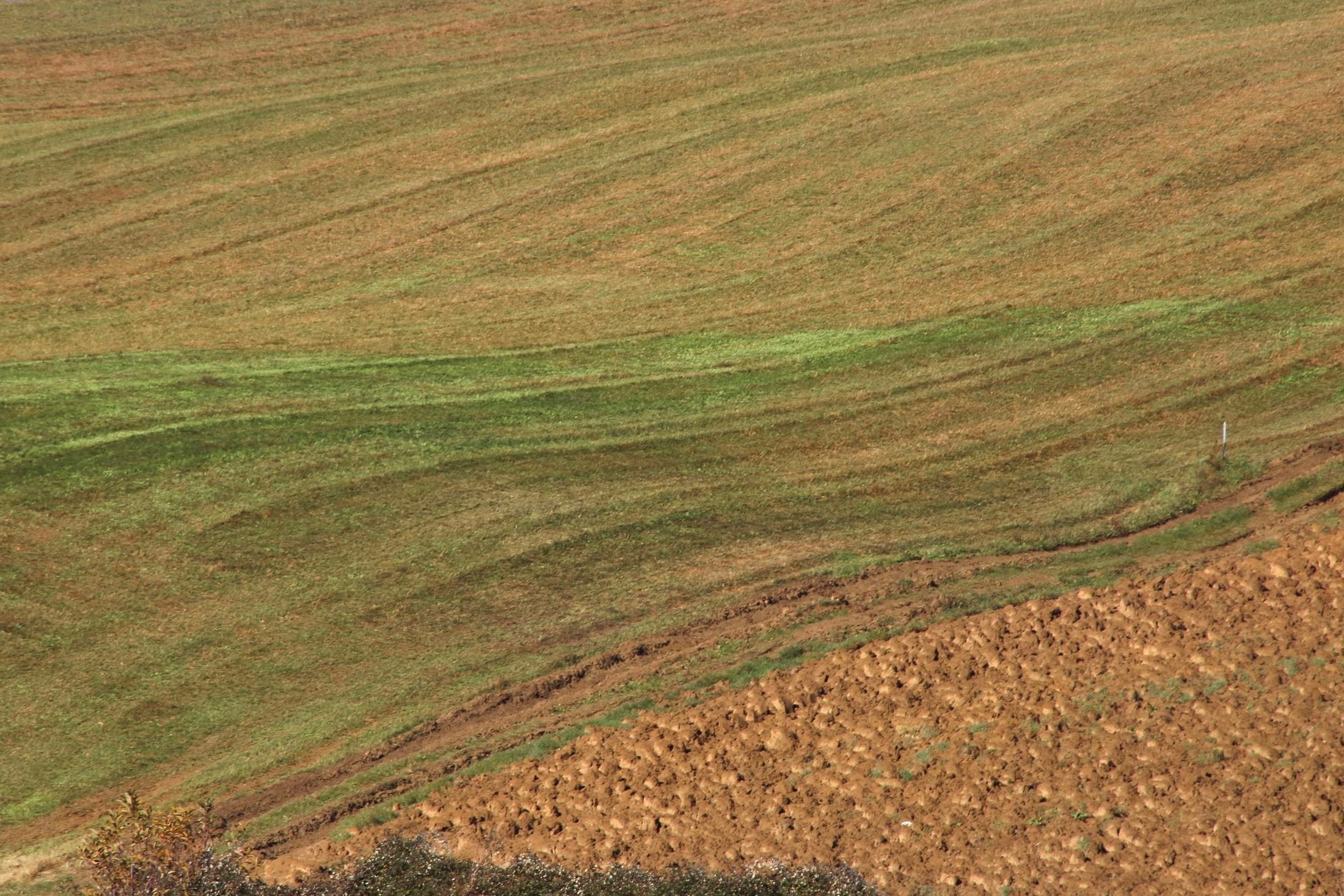 Autumn in the fields