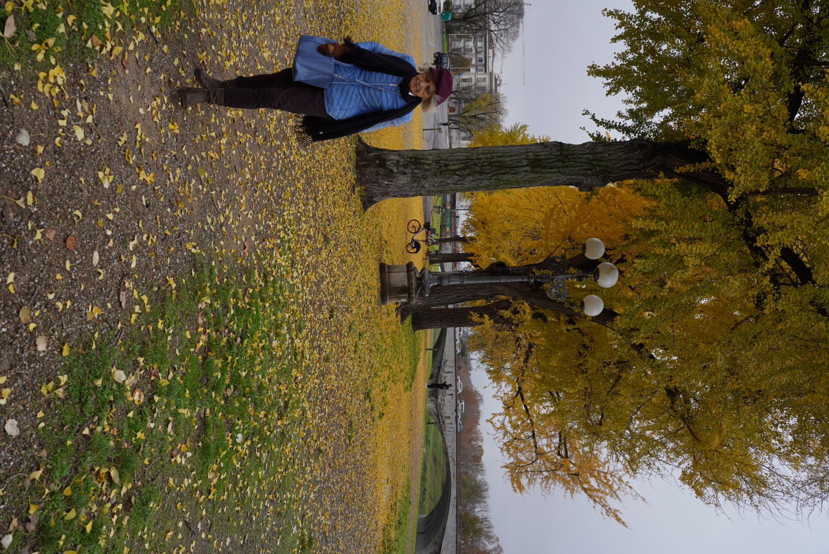 Autumn mood