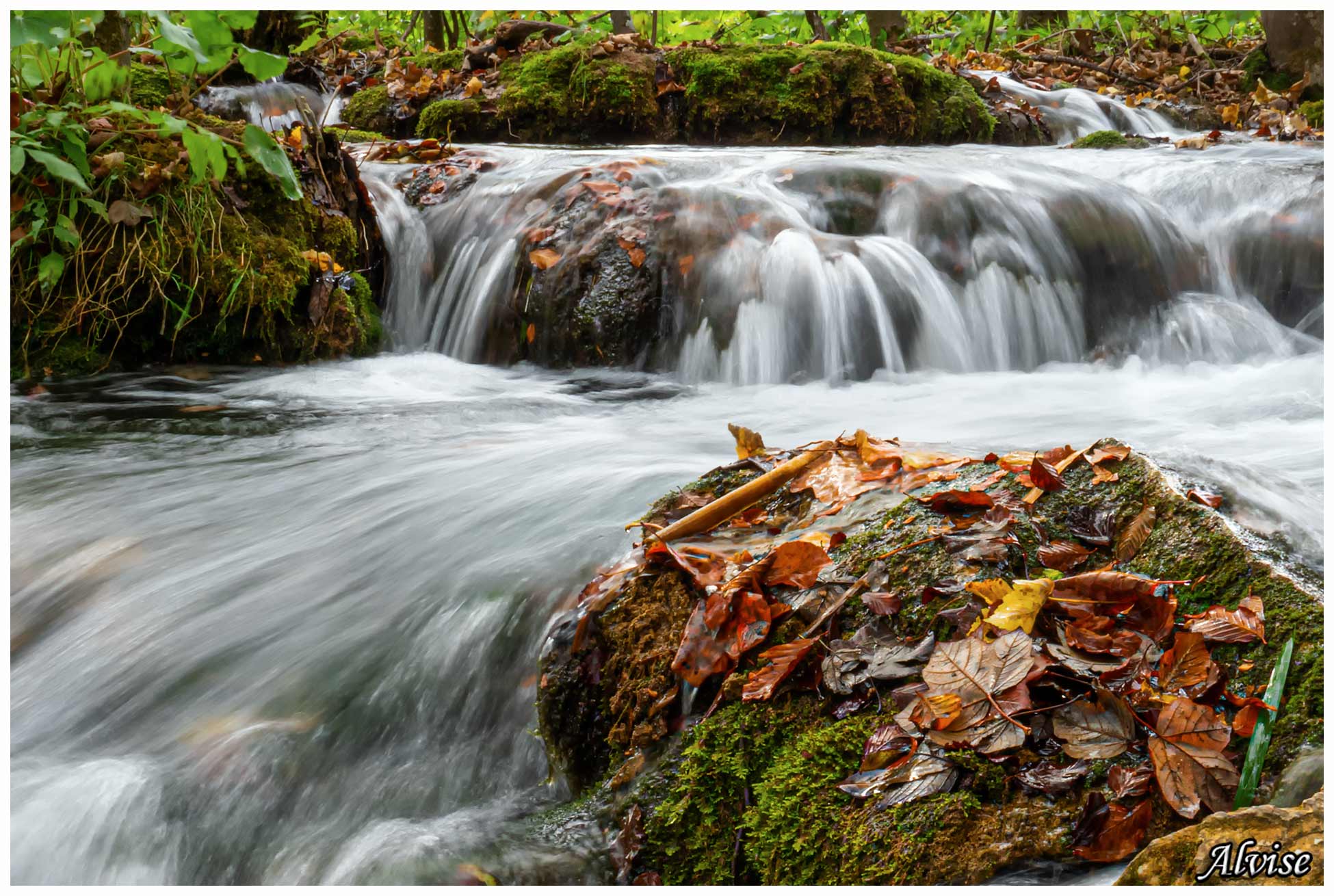 The shapes of water.