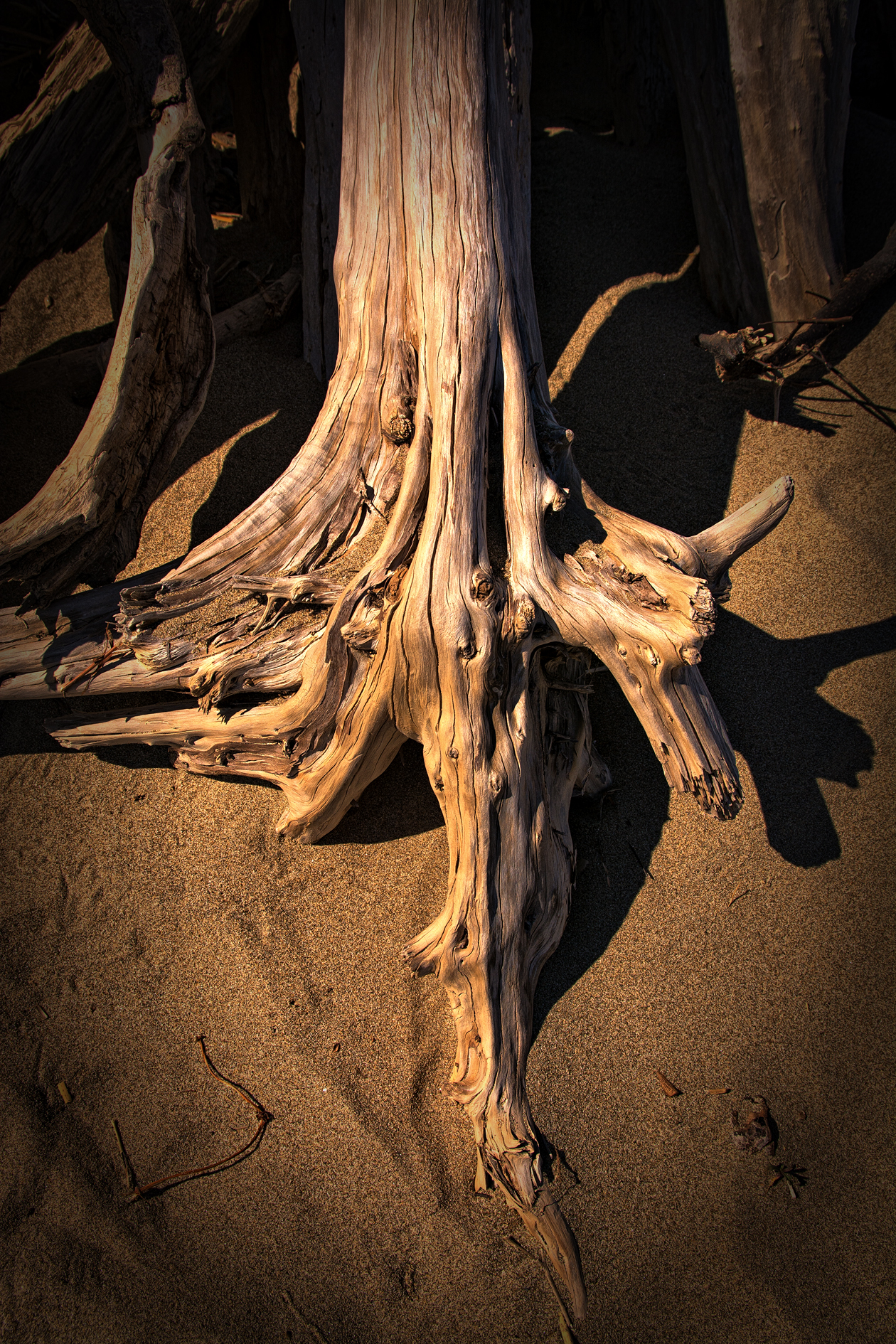 Wood and sand (2)
