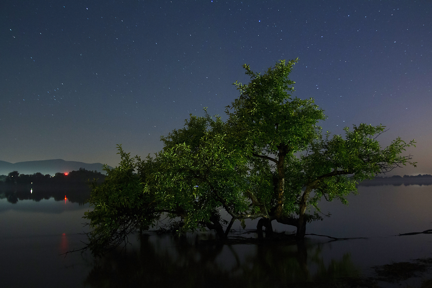 Inondazioni del Danubio