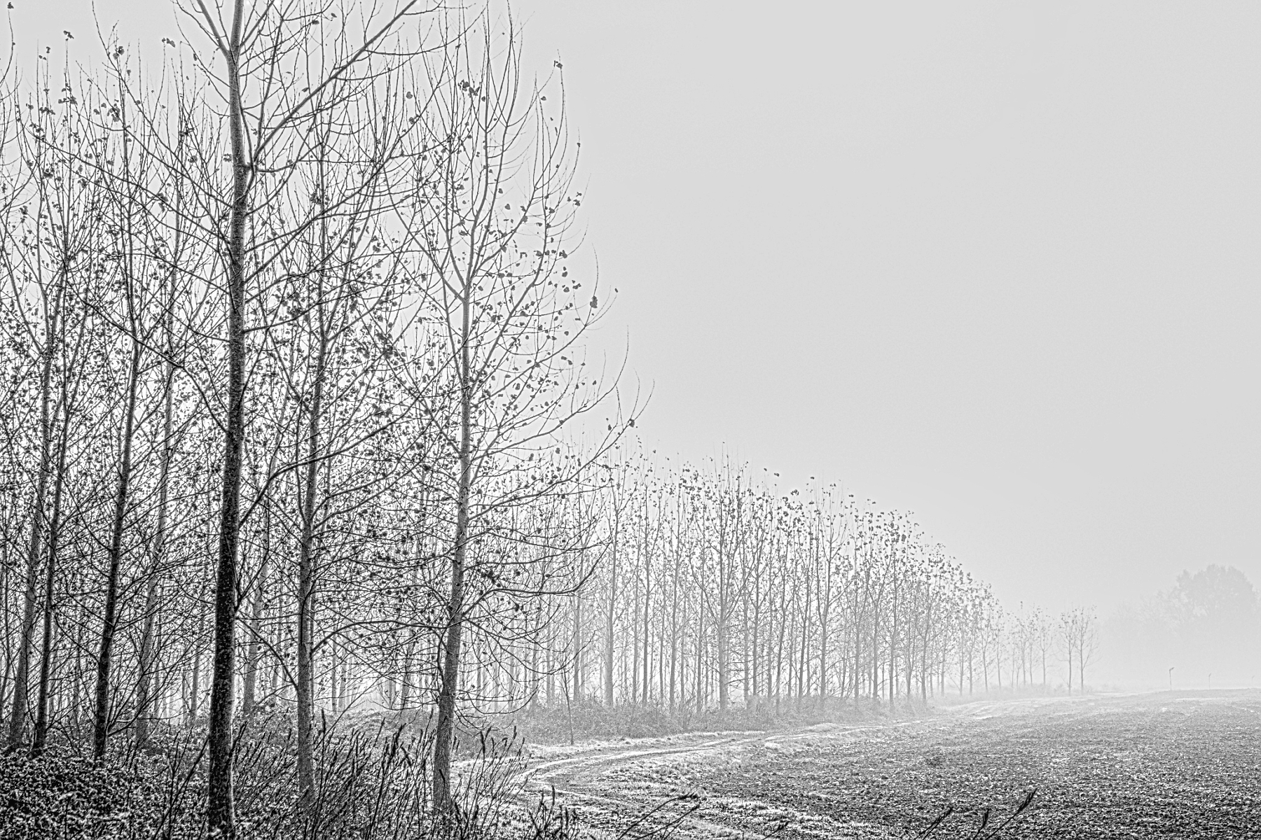 Passaggio d' inverno