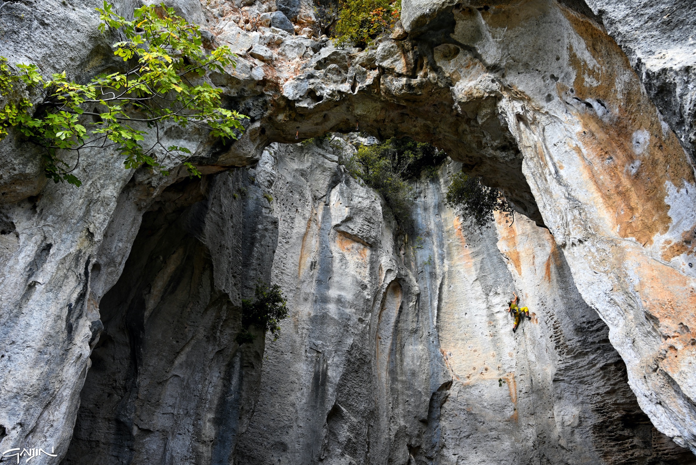 Climber nella grotta dell'edera