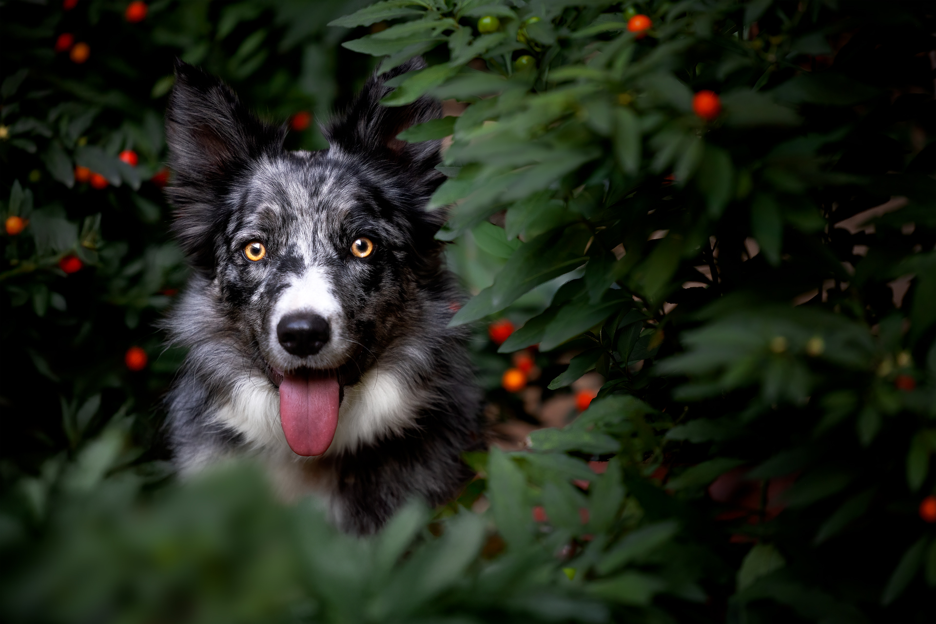 Walking around Varese