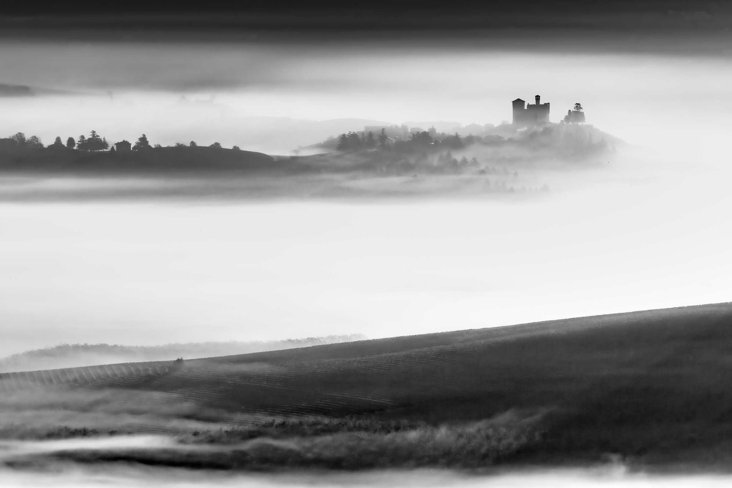 The Langhe submerged in the quiet of the fog