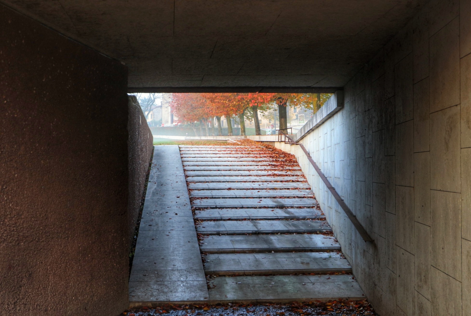 Custoza Foliage dal tunnel