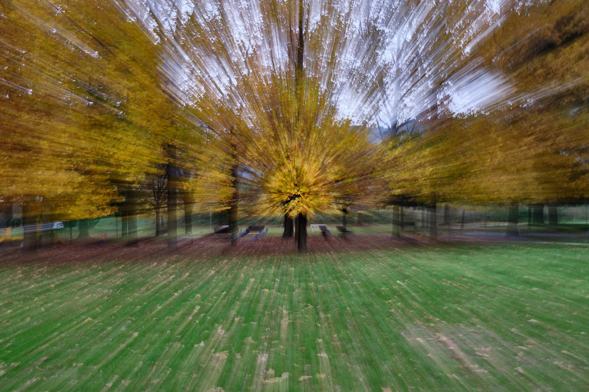 Esplosione di autunno