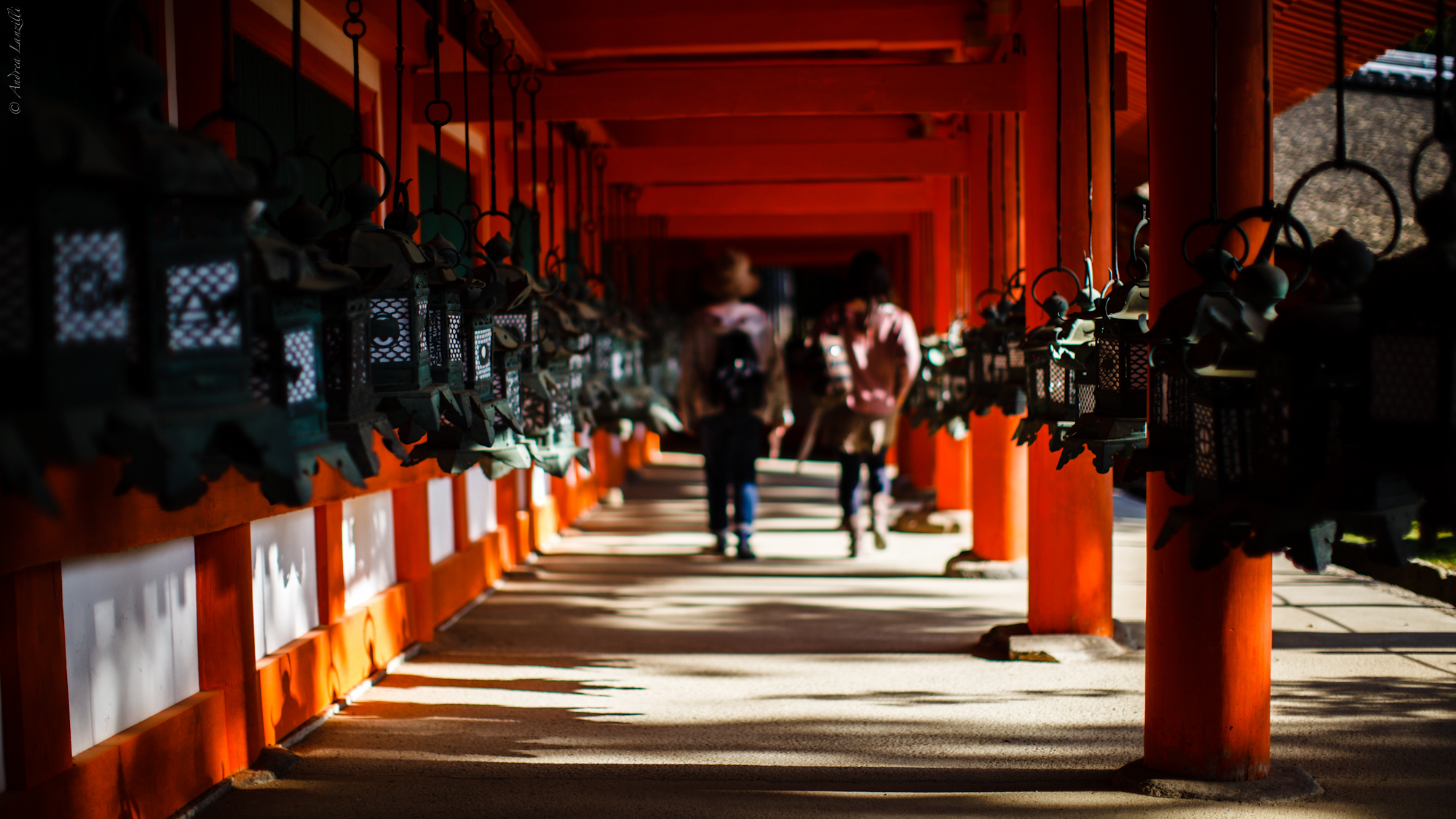 Walking through the Time