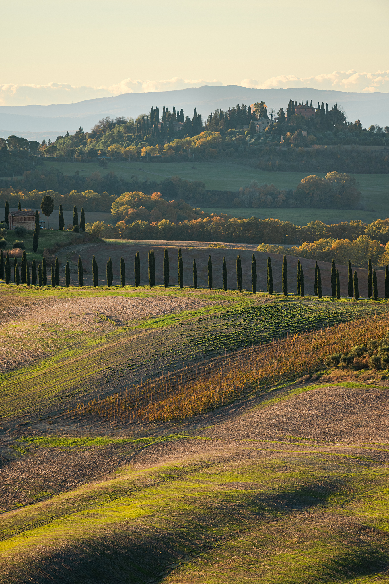 Autumn in Val D' ORCIA