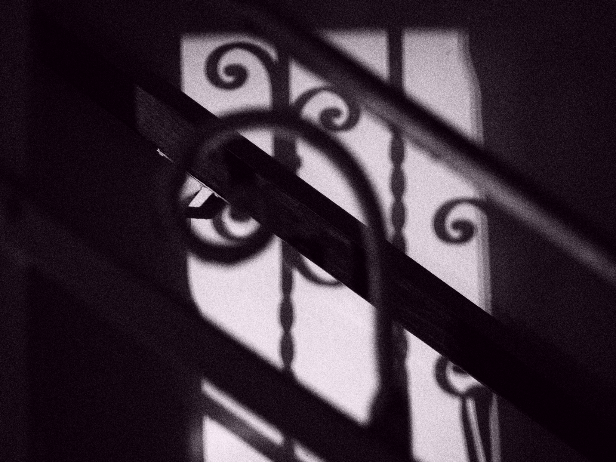 Untitled Photo