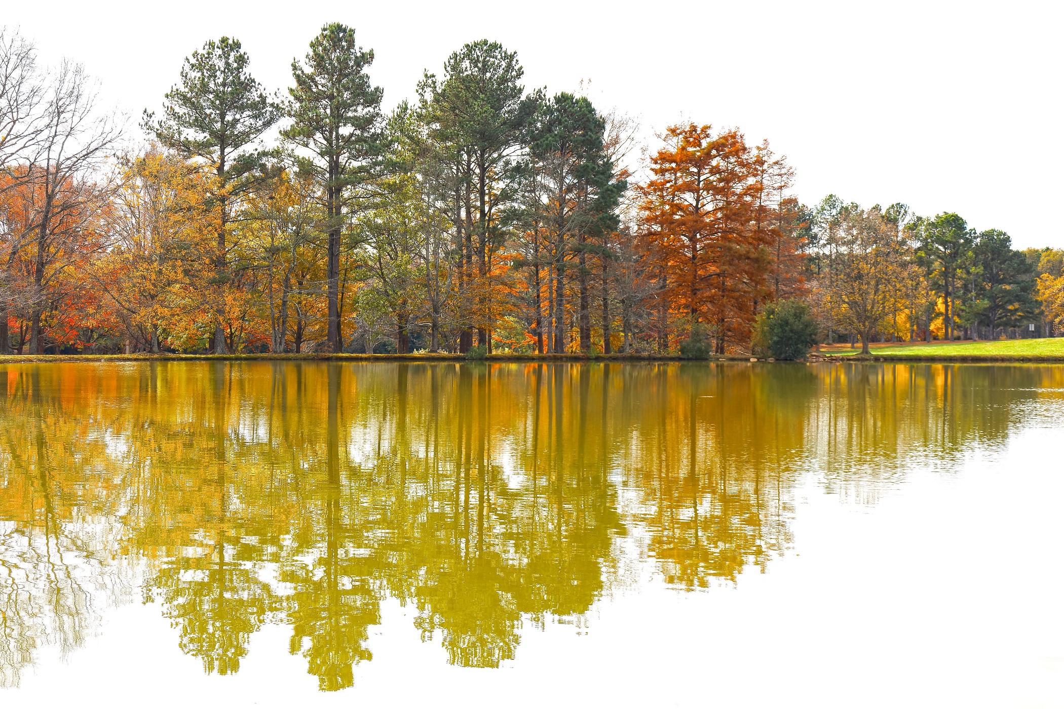 Arboreto di Milliken
