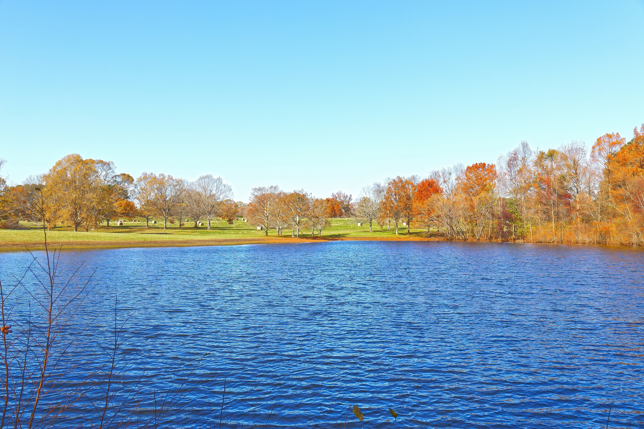 Milliken Arboretum, Spartanburg, SC