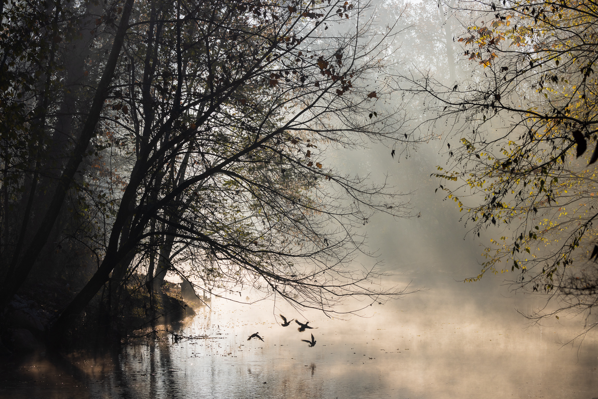 Il Lambro si risveglia