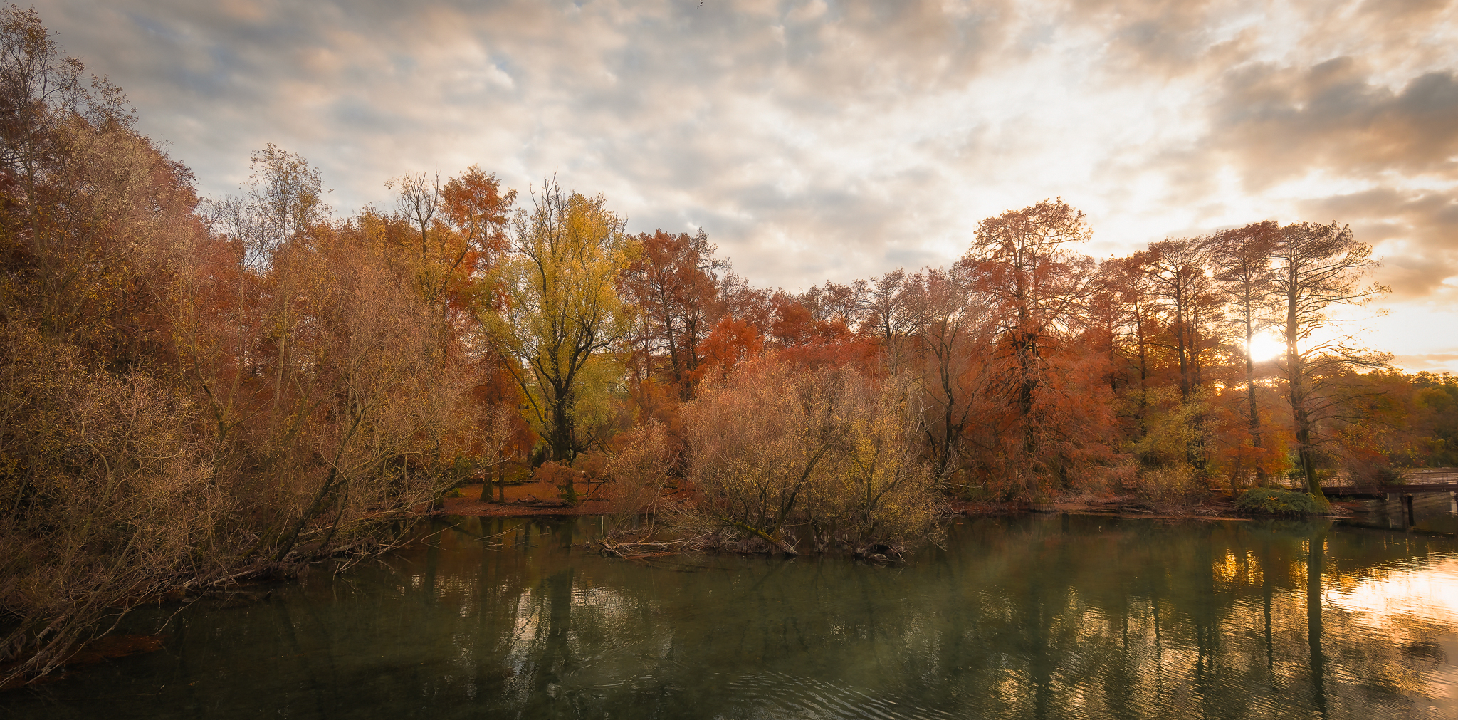Foliage at Tassodi Park