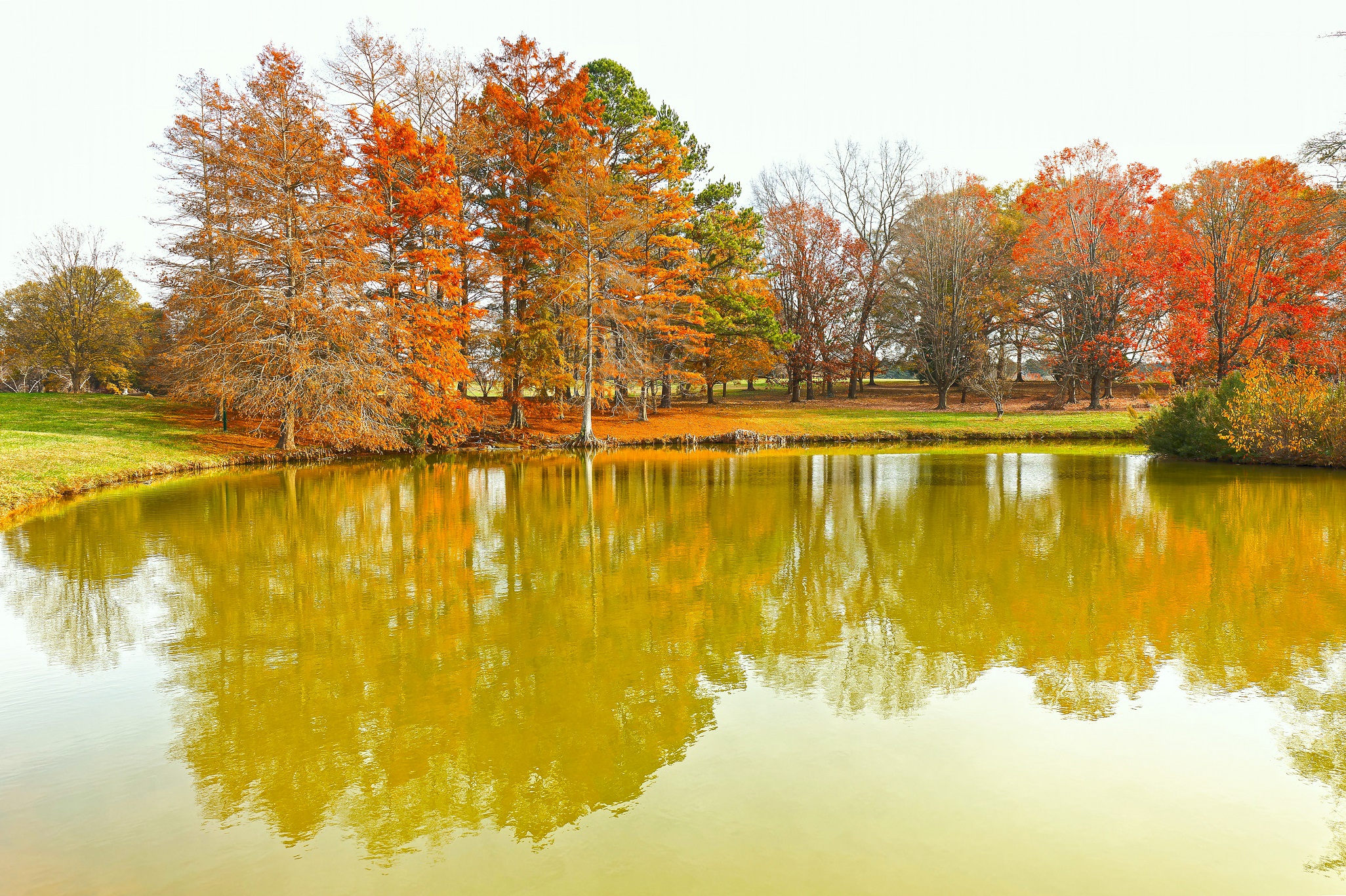 Arboreto di Milliken