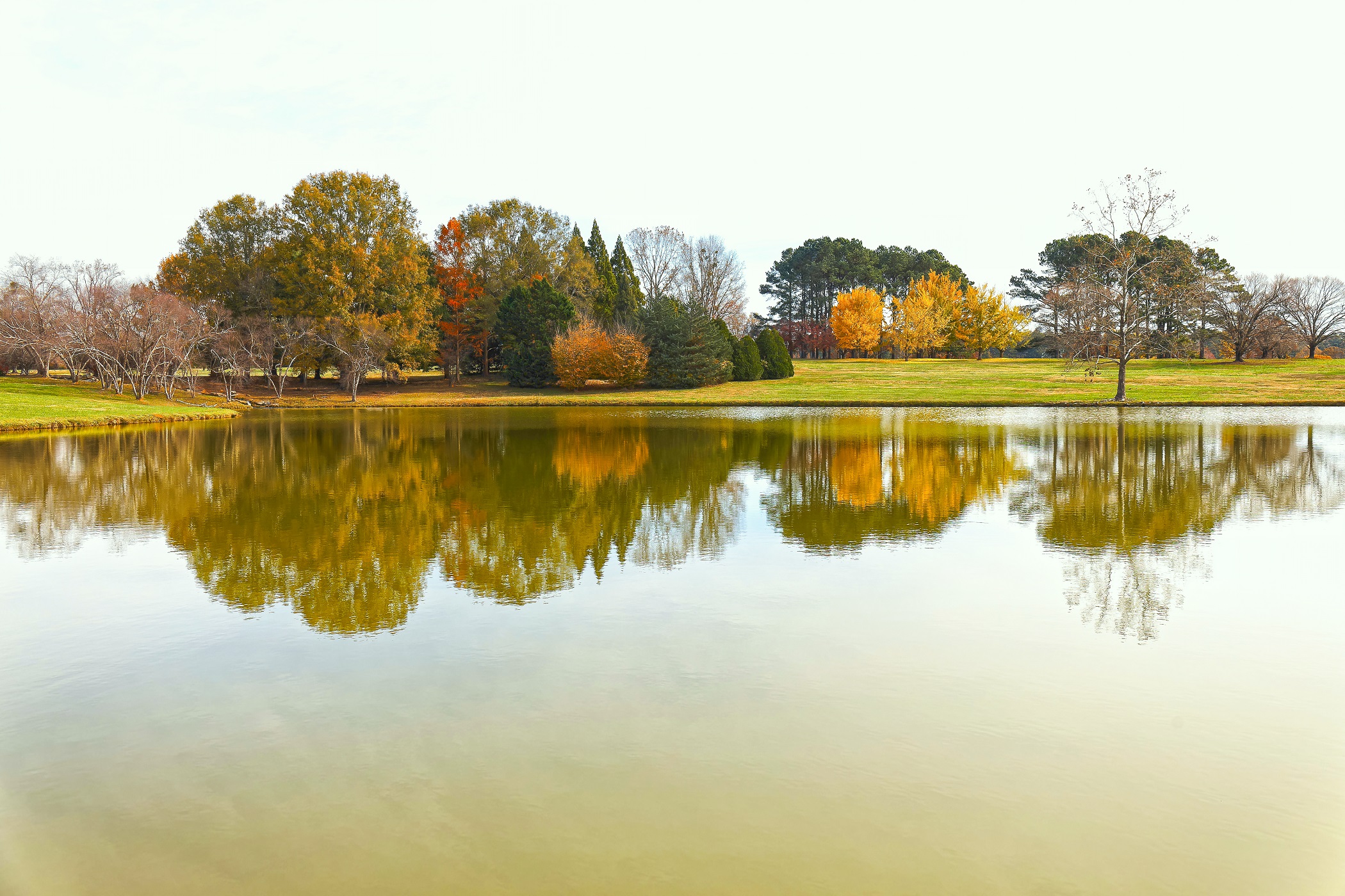 Milliken Arboretum, Spartanburg, SC