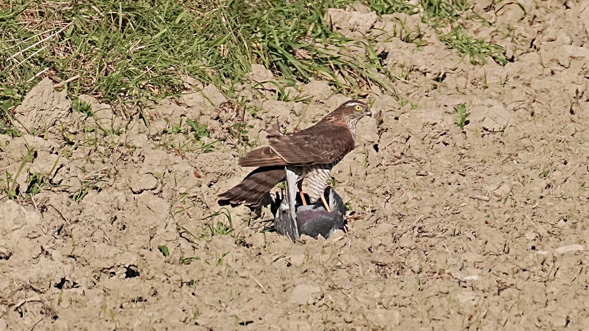 Satisfied with the catch