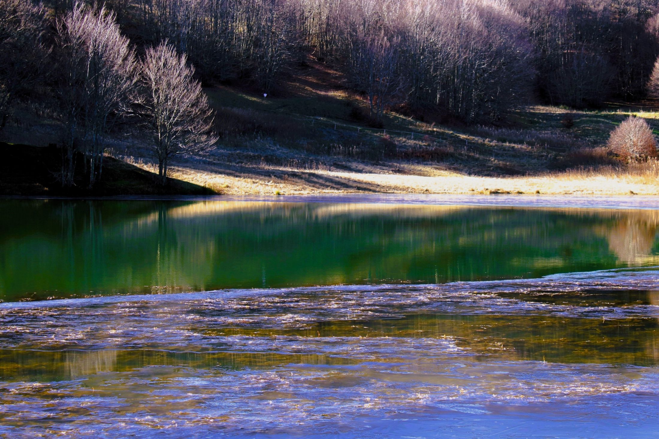 Riflessi nel ghiaccio