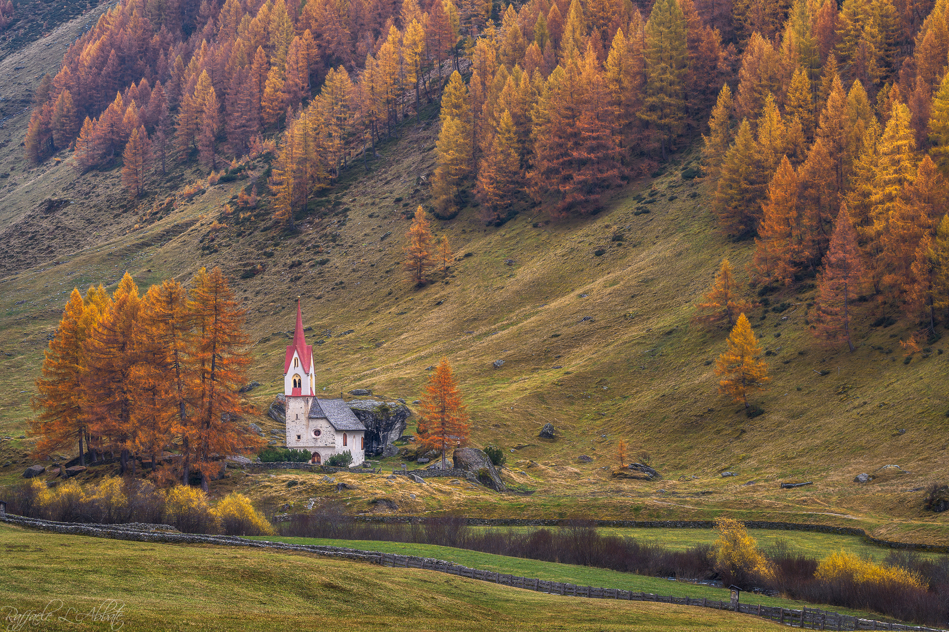 La Chiesa tra i Larici