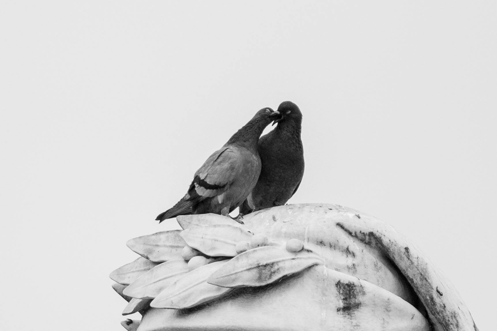 L'amore